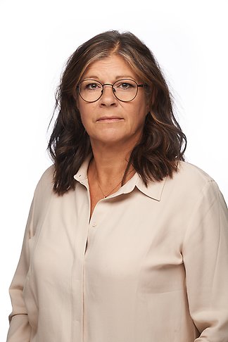 Katarina Sundberg, HR-chef